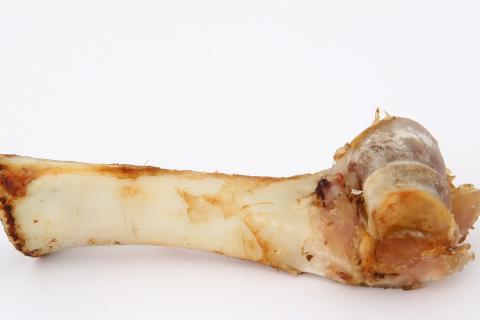 Bone. The Dutch for "bone" is "been". Bone. The Dutch for "bone" is "been".