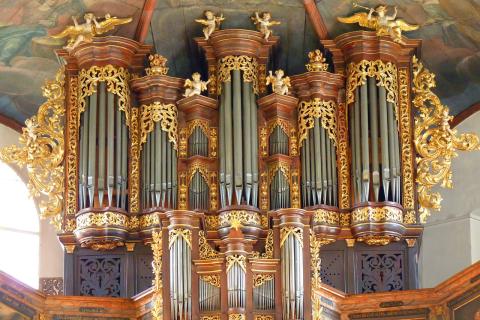 Organ. The Dutch for "organ" is "orgel". Organ. The Dutch for "organ" is "orgel".