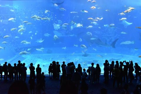 Aquarium. The Dutch for "aquarium" is "aquarium". Aquarium. The Dutch for "aquarium" is "aquarium".