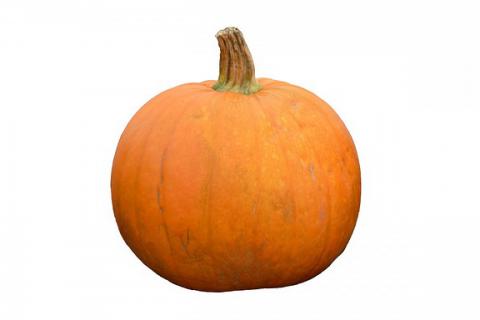 Pumpkin. The French for "pumpkin" is "citrouille". Pumpkin. The French for "pumpkin" is "citrouille".