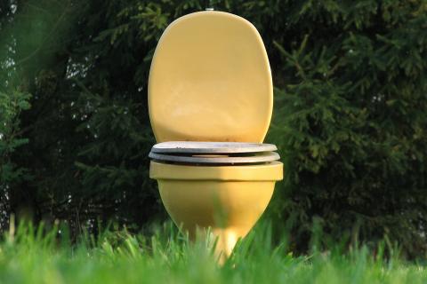 Some toilet. The French for "some toilet" is "des toilettes".