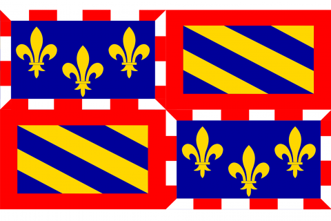 Burgundy (region). The French for "Burgundy (region)" is "Bourgogne".