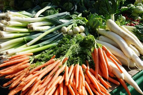 A vegetable. The French for "a vegetable" is "un légume". A vegetable. The French for "a vegetable" is "un légume".