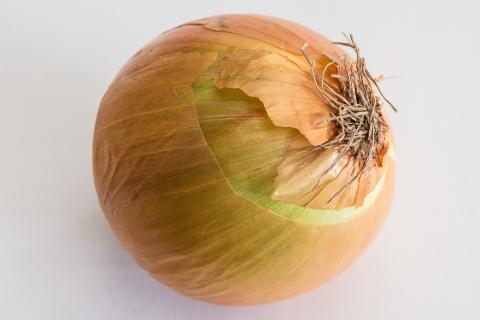 An onion. The French for "an onion" is "un oignon". An onion. The French for "an onion" is "un oignon".