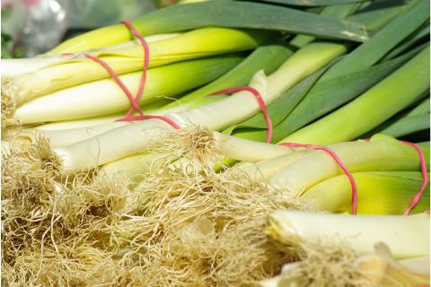 The leek. The French for "the leek" is "le poireau". The leek. The French for "the leek" is "le poireau".