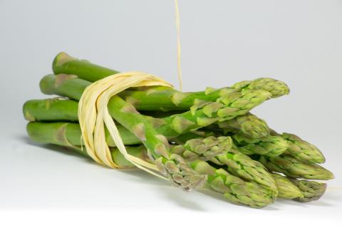 The asparagus. The French for "the asparagus" is "l’asperge". The asparagus. The French for "the asparagus" is "l’asperge".