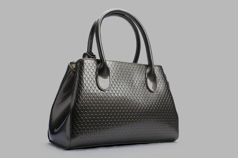 The bag. The French for "the bag" is "le sac". The bag. The French for "the bag" is "le sac".