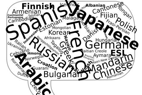 The language. The French for "the language" is "la langue". The language. The French for "the language" is "la langue".