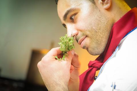 A smell. The French for "a smell" is "une odeur". A smell. The French for "a smell" is "une odeur".