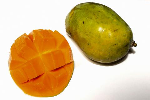 The mango. The French for "the mango" is "la mangue". The mango. The French for "the mango" is "la mangue".