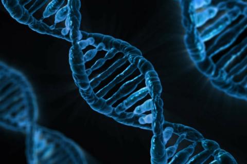 The biology. The French for "the biology" is "la biologie". The biology. The French for "the biology" is "la biologie".