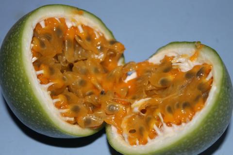 The passion fruit. The French for "the passion fruit" is "le fruit de la passion". The passion fruit. The French for "the passion fruit" is "le fruit de la passion".