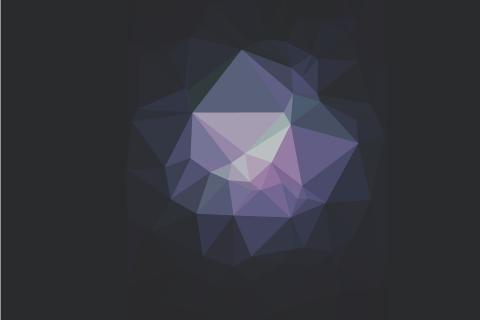 The polygon. The French for "the polygon" is "le polygone". The polygon. The French for "the polygon" is "le polygone".