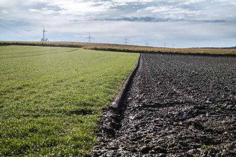 A field. The French for "a field" is "un terrain". A field. The French for "a field" is "un terrain".