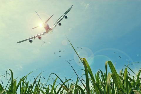 A flight. The French for "a flight" is "un vol".
