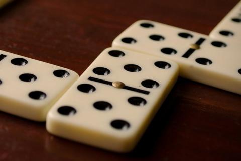 The domino. The French for "the domino" is "le domino".
