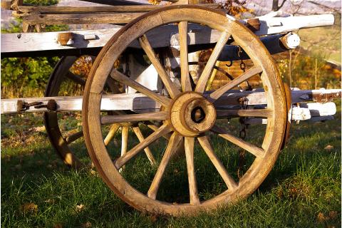 The wheel. The French for "the wheel" is "la roue". The wheel. The French for "the wheel" is "la roue".