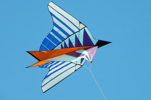 To play kite. The French for "to play kite" is "jouer au cerf-volant". To play kite. The French for "to play kite" is "jouer au cerf-volant".