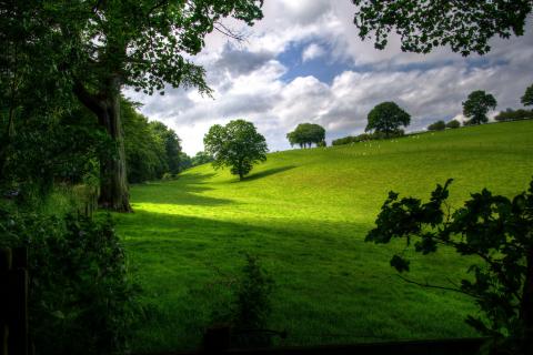 A nature. The French for "a nature" is "une nature". A nature. The French for "a nature" is "une nature".