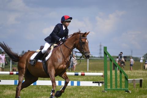 The horse riding. The French for "the horse riding" is "l’équitation".