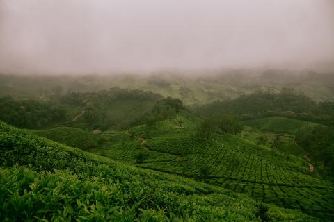 The hills. The French for "the hills" is "les collines". The hills. The French for "the hills" is "les collines".