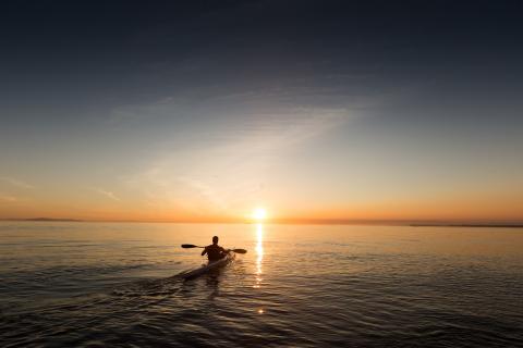 The canoeing. The French for "the canoeing" is "le canoë-kayak". The canoeing. The French for "the canoeing" is "le canoë-kayak".