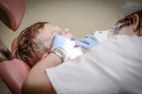 Dentist. The French for "dentist" is "dentiste". Dentist. The French for "dentist" is "dentiste".