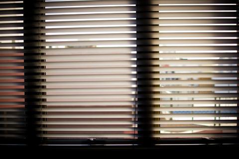 Window blind. The French for "window blind" is "store".