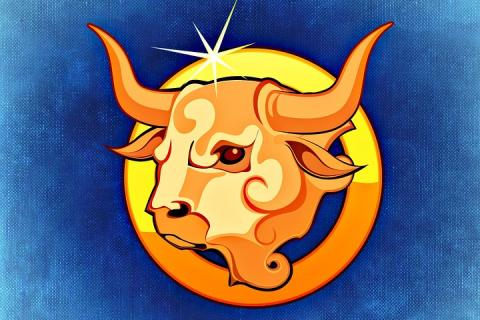 Taurus. The French for "Taurus" is "taureau".