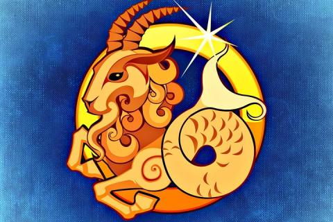 Capricorn. The French for "Capricorn" is "capricorne".
