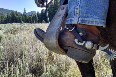 Western (movie). The French for "western (movie)" is "western".