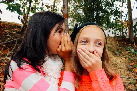 Secret. The French for "secret" is "secret". Secret. The French for "secret" is "secret".