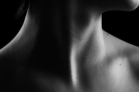 Throat. The French for "throat" is "gorge". Throat. The French for "throat" is "gorge".