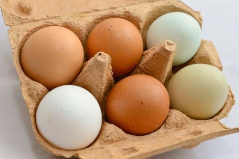 Eggs. The French for "eggs" is "œufs". Eggs. The French for "eggs" is "œufs".