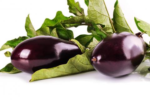 Aubergines (British); eggplants (American). The French for "aubergines (British); eggplants (American)" is "aubergines". Aubergines (British); eggplants (American). The French for "aubergines (British); eggplants (American)" is "aubergines".
