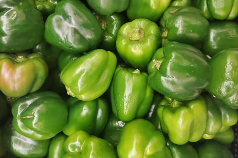 Some green peppers. The French for "some green peppers" is "des poivrons verts". Some green peppers. The French for "some green peppers" is "des poivrons verts".