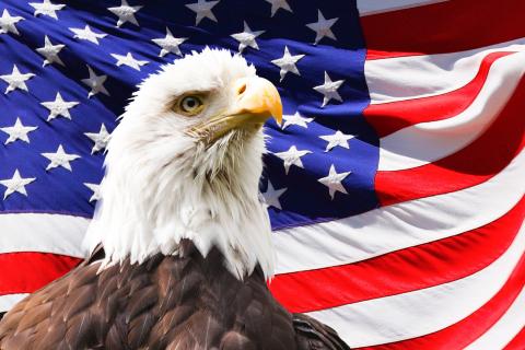 America. The French for "America" is "l’Amérique". America. The French for "America" is "l’Amérique".