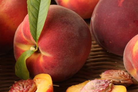 Peach. The French for "peach" is "pêche". Peach. The French for "peach" is "pêche".