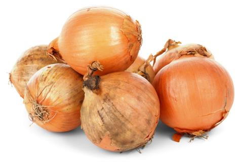 Onions. The French for "onions" is "oignons". Onions. The French for "onions" is "oignons".