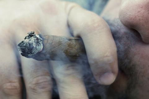 Cigar. The French for "cigar" is "cigare". Cigar. The French for "cigar" is "cigare".
