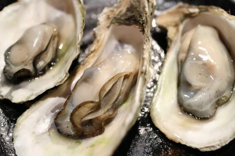 Oyster. The French for "oyster" is "huître".