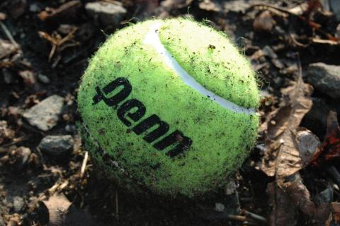 Ball. The French for "ball" is "balle". Ball. The French for "ball" is "balle".