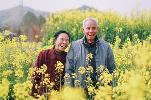 Grandparent; elder. The Hawaiian for "grandparent; elder" is "kupuna". Grandparent; elder. The Hawaiian for "grandparent; elder" is "kupuna".