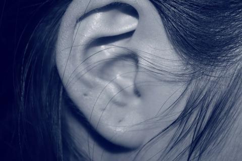 Ear; listen. The Pandunia for "ear; listen" is "ore". Ear; listen. The Pandunia for "ear; listen" is "ore".