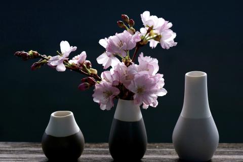 Vase. The Pandunia for "vase" is "hua pote".