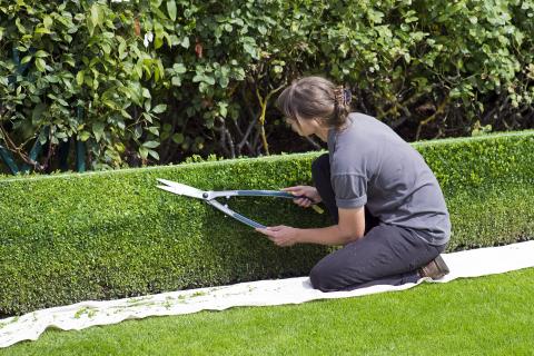 Gardener. The Thai for "gardener" is "คนสวน".
