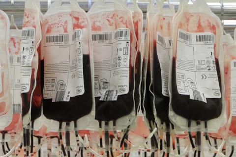 Blood (polite form). The Thai for "blood (polite form)" is "โลหิต". Blood (polite form). The Thai for "blood (polite form)" is "โลหิต".
