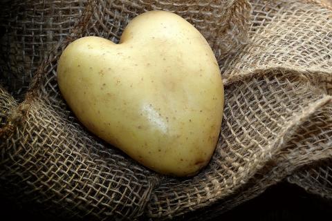 Potato. The Thai for "potato" is "มันฝรั่ง". Potato. The Thai for "potato" is "มันฝรั่ง".