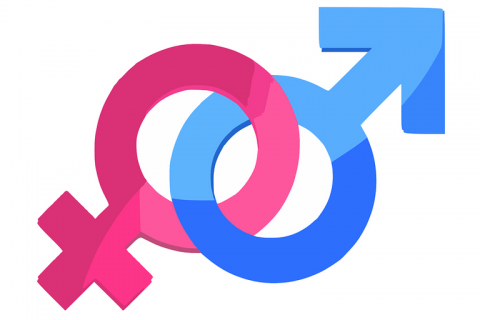 Sex; gender. The Thai for "sex; gender" is "เพศ".