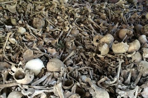 Bone. The Thai for "bone" is "กระดูก". Bone. The Thai for "bone" is "กระดูก".